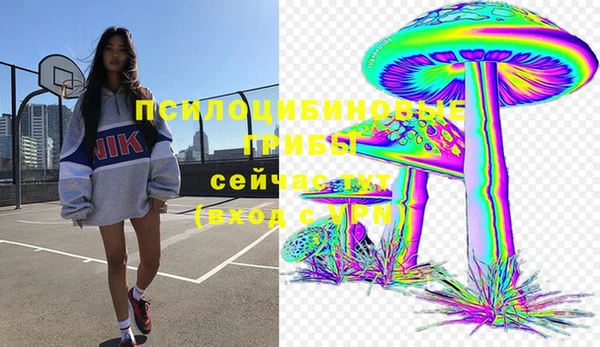 индика Покров
