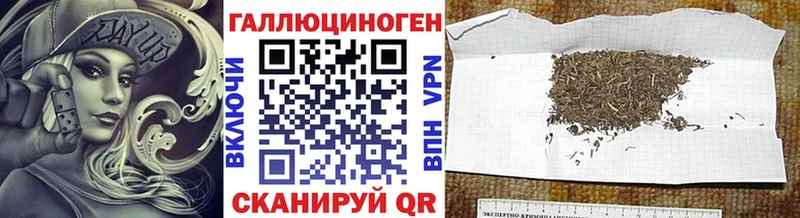 ссылка на мегу как зайти  продажа наркотиков  Подпорожье  Псилоцибиновые грибы Psilocybine cubensis 